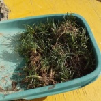 ㈲大江住宅、人呼んで、‘ひごもっこり‘のblog