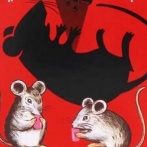 【マジ注意】一晩でネズミをごっそり処分できる強力ネズミ毒餌　→　それを使い続けた末路がガチで怖すぎる…(((( ；ﾟДﾟ)))　「ある時期から家のどこからか◯◯◯が」