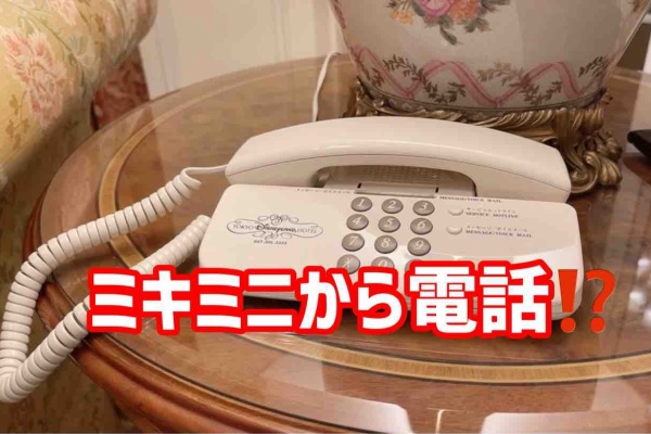 噂のdヲタくんのディズニーレポート ディズニーランドホテル