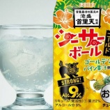 『【期間限定】沖縄県特産の焼酎・泡盛とゴールデンパイン果汁を使用したハイボール「シーサーボール ゴールド」』の画像