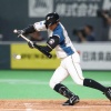 【朗報】日ハムのショート争い、激化する 	