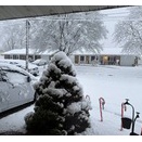 ニュージャージーも雪