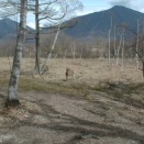 孝子阮孝緒の話