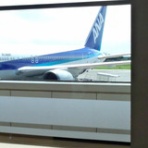 dog in the shell-考案休暇-