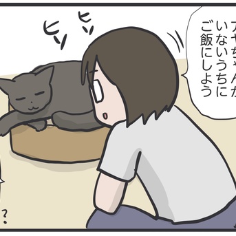 スミちゃんにこっそりごはんをあげようとしたら