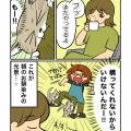 忙しい朝の時間を邪魔してくる猫・ウニ。