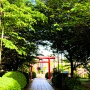 春になったら絶対に参拝する神社　見川稲荷神社