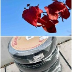 滋賀県 長浜市 美容室 styling lounge BUNZO（ぶんぞう・ブンゾウ） のBlog