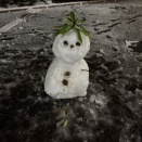 あけましておめでとうございます！１/25は11時から