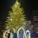 点灯式がありました！