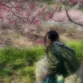 いよ🔅こんしゅう