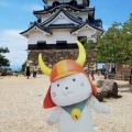 彦根城とひこにゃん