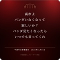 中国政府「高市よ、次は『日本への留学は慎重に』と注意喚起発動だ。怖いか？」 報復第2弾 …N民「高市GJ！｣「どうしてこんなに日本人をよろこばせてくれるのｗ｣