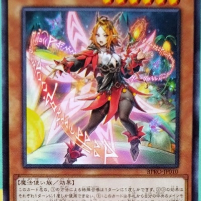 遊戯王 セレブレーション 2025 遊戯王 wcs2025 セレブレーションイベント プロモ 遊戯王 WCS