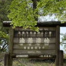 【観光'26】西予市宇和町の「法華津峠」の絶景ガイド｜西予宇和ICからのアクセス・見どころ