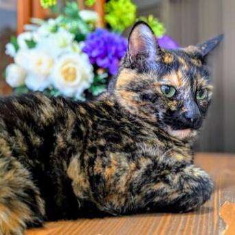 肩の痛みで腕がもげそう？整形外科に行く前