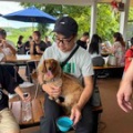 わんこたちとお出かけ