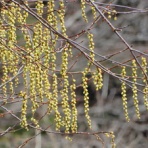塩原温泉　彩つむぎ　女将の独り言