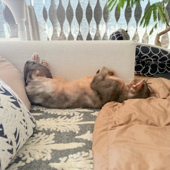 おじさんの休日的な…