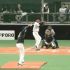 【日ハムファンフェス】今日のA-稲葉のホームランｗｗｗｗｗｗｗｗ