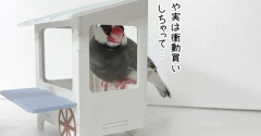 レンタル料は取りますよ