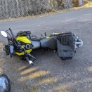 丁髷立ちごけする