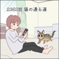 あんこ＆麦2363 猫の通る道