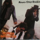 ☆８０年代洋楽を中心に私の中の１枚☆2518☆THE GEORGIA SATELLITES/NEVER STOP ROCKIN'