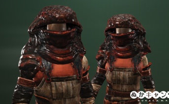 ガルパーの皮の衣装 / ガルパーの皮のフード