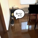 朝から元気ヾ(≧▽≦)ﾉ