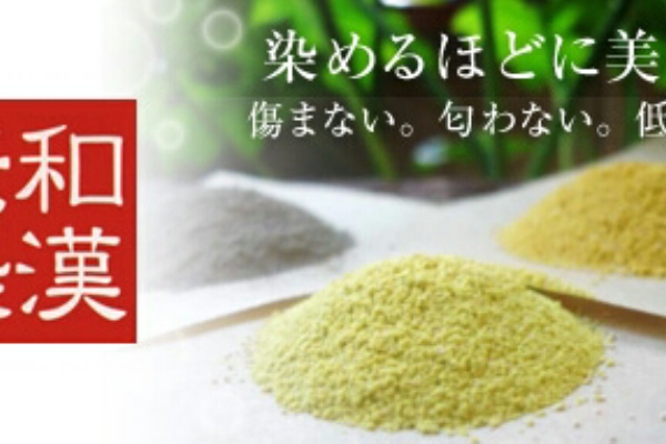 白髪染めで 頭皮がしみる と悩んでいませんか 野々市市 徳用町 美容室 Irie アイリー 髪と頭皮の健康を守る 白髪世代の女性のための 白髪染め専門の美容室 白髪染めで 頭皮がしみる と悩んでいませんか 野々市市 徳用町 美容室 Irie アイリー 髪と頭皮の健康を守る 白髪世代の女性のための 白髪染め専門の美容室