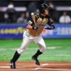 日ハムの中島卓也さんが今年FA取得予定だけど、獲りそうな球団あるん？ 	