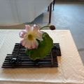 御厨での冷茶会　 鳥取第二支部
