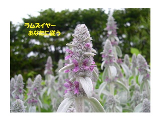 暦‐2026年7月14日