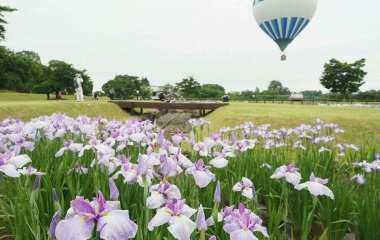 ��Ǯ���夫�鸫��  �����٤β���