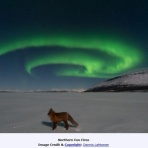 科学と現実のはざまから