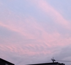 仏様のような