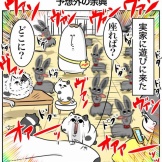 実家に行ったら意外な収穫があった話