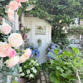 のばらのガーデニングブログ　Hana and Rose Garden+