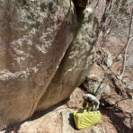 かっしーくらいむ