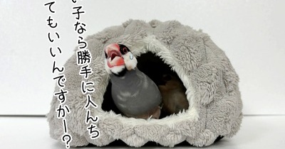 総じてセラは優しいという結論