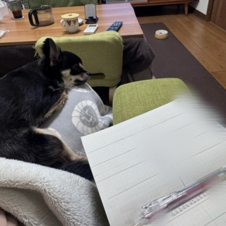 日々のくらし手帖