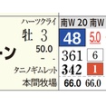 【レース予想】東京６Ｒ・３歳未勝利