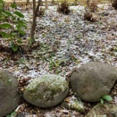 この冬初めての真冬日になるようです・・・