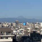 おてんば88歳・・日々録