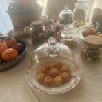 　落合桜　パリの風