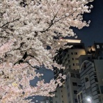 DUALVIEW 白金店ブログ