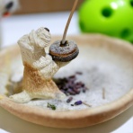 たかシェフのおうちごはん。と、白い犬。と、チワワ。