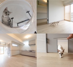 猫好き必見！築50年超のマンションを猫ちゃんファーストな賃貸物件にフルリノベ。10/17(土)からは見学会【タイムズ広告】