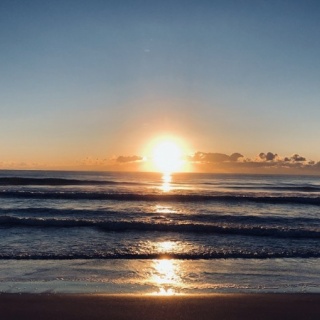 にいがた速報 - 新潟県新潟市の地域情報サイト